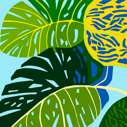 Monstera Series 16 (botanical)