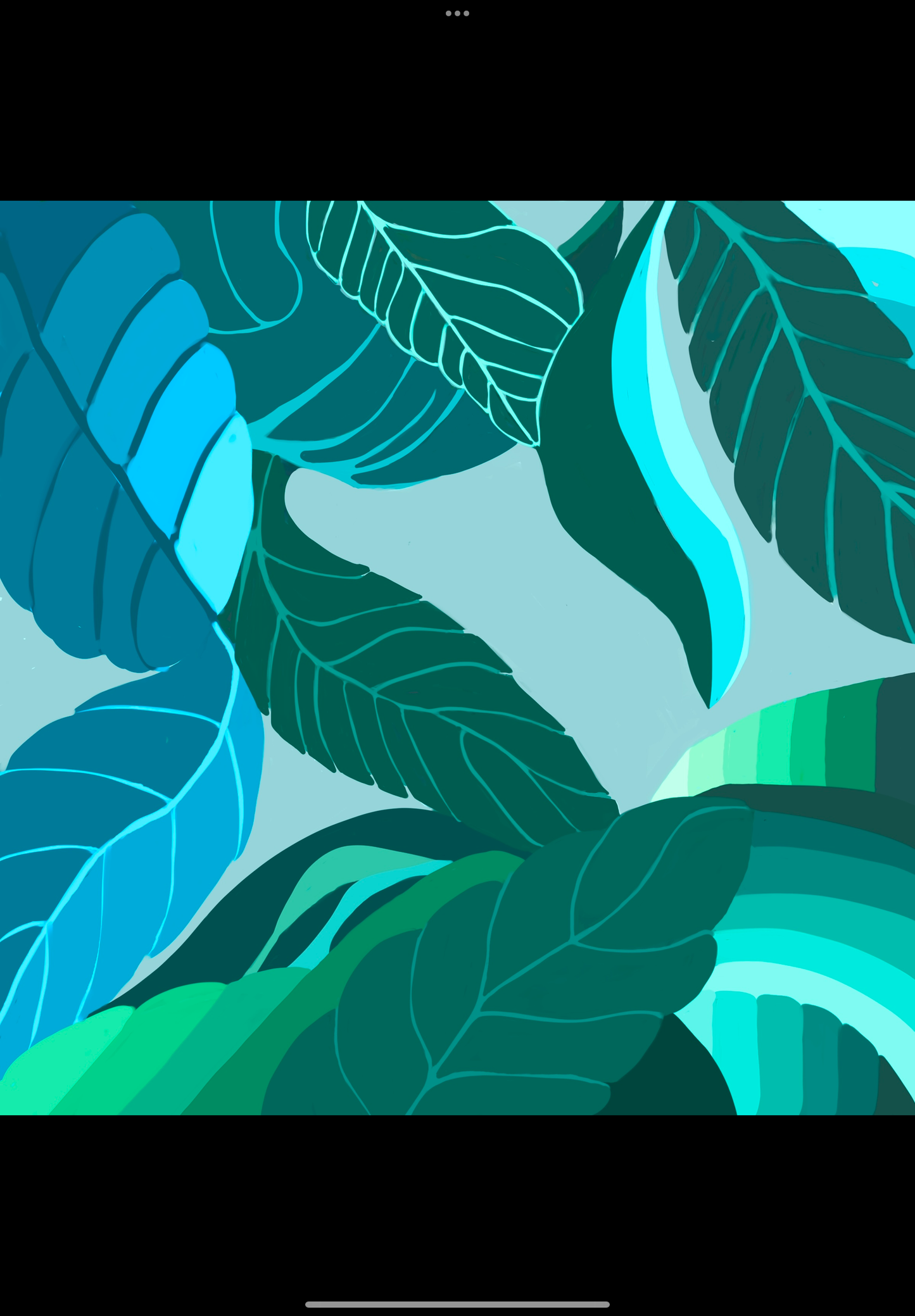 Monstera #17