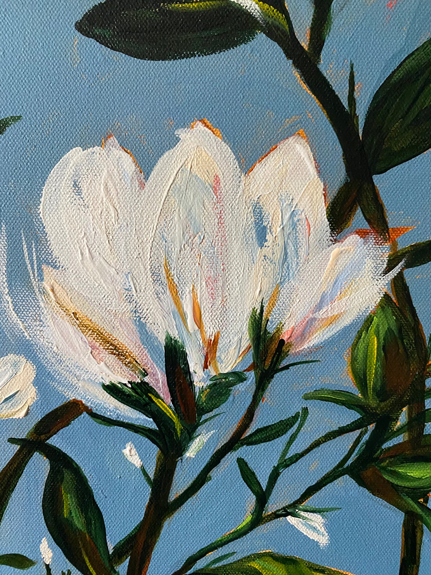Gift of the Garden